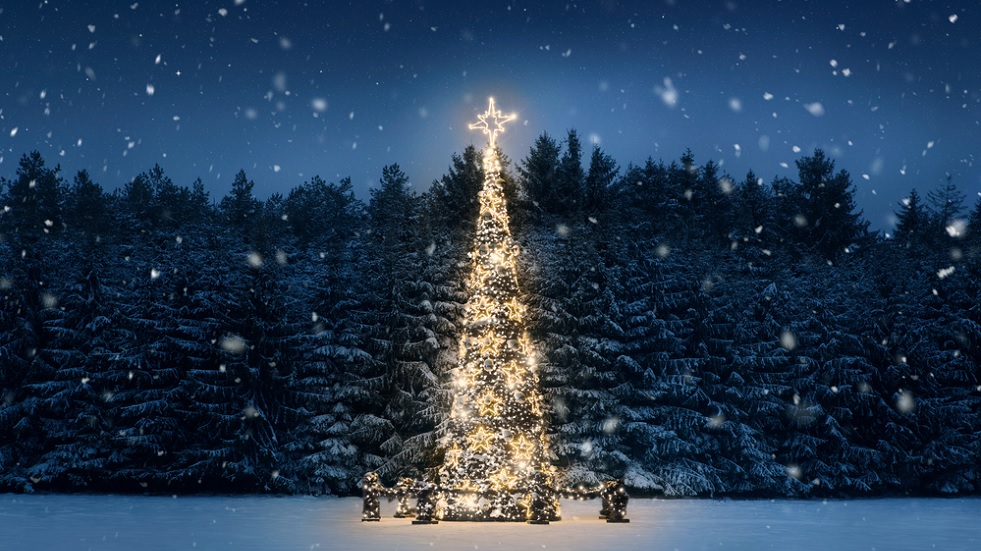 Christmas in November